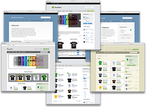 themes woocommerce