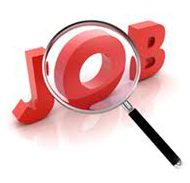 Buscar empleo en la red