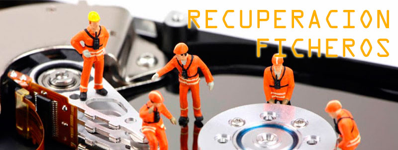 raid ubuntu