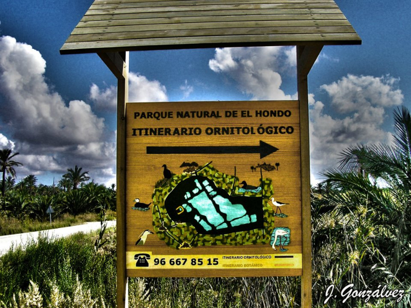 el-hondo-0