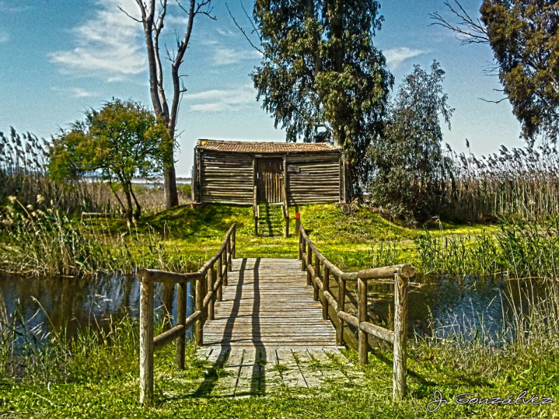 el-hondo-10