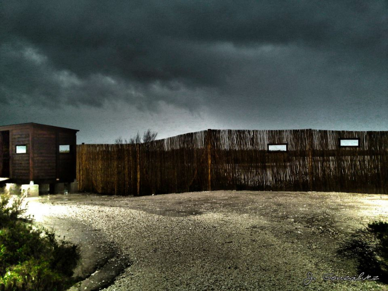 el-hondo-19