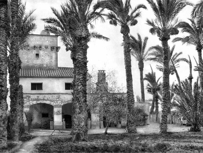 elche8